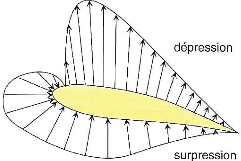 Répartition des pressions autour d’un profil : les flèches de dépression au-dessus de l’extrados sont nettement plus longues que celles de surpression sous l’intrados