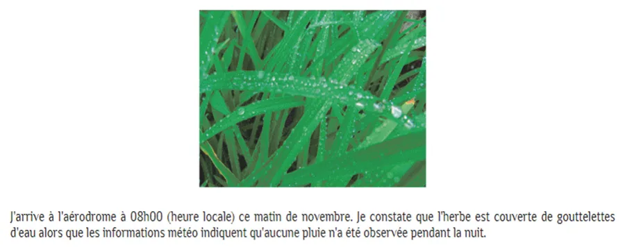 Infographie de l’énoncé : photographie d’herbe en gros plan et récit d’une arrivée à l’aérodrome un matin de novembre