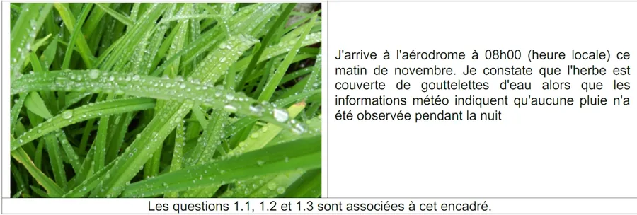 Encadré de l’énoncé : photographie d’herbe en gros plan et récit d’une arrivée à l’aérodrome un matin de novembre